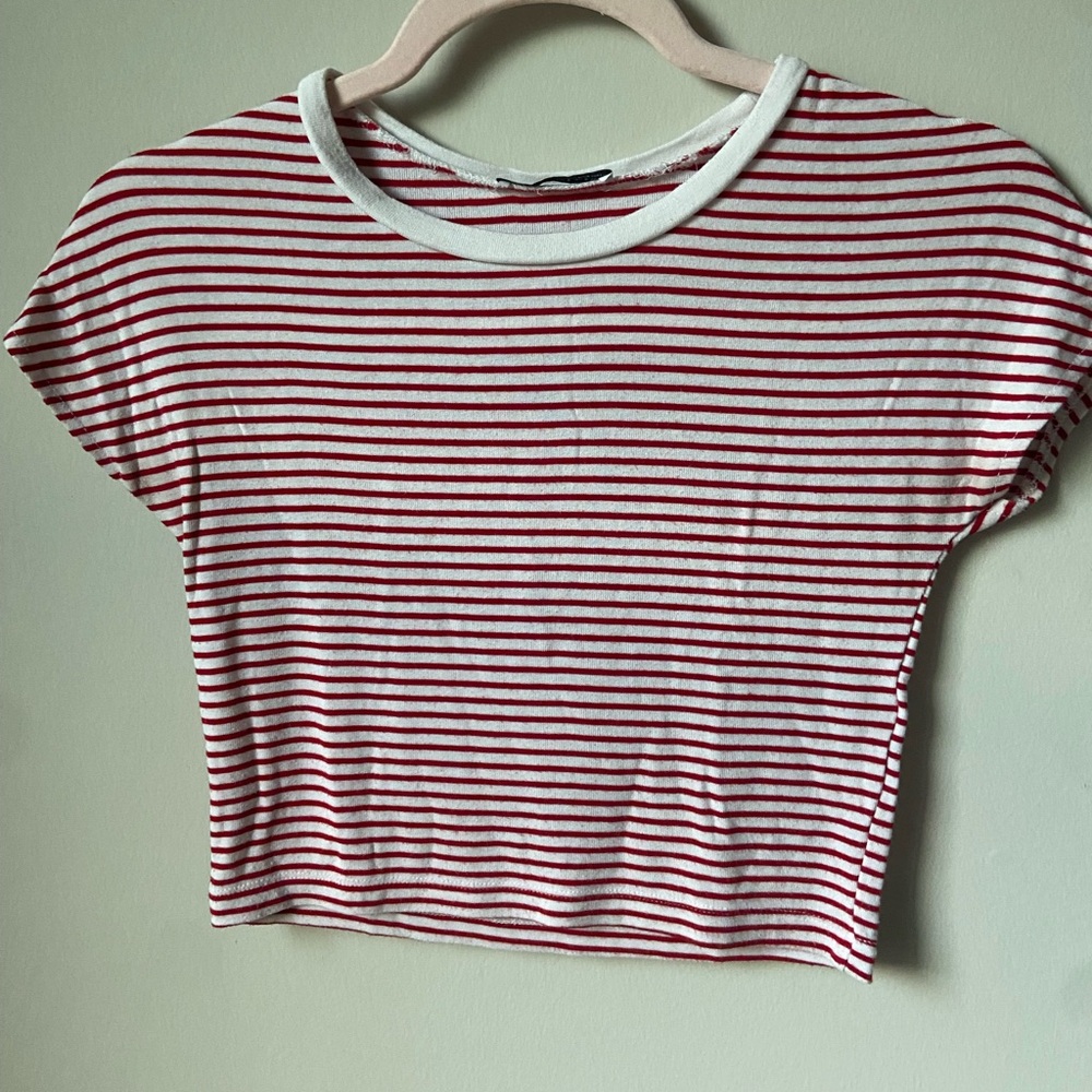Zara Red and White Striped Crop Top
